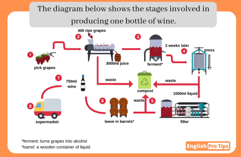 Task 1 Process Diagram For Making Wine